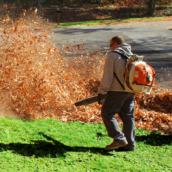 Leaf Removal in Massillon