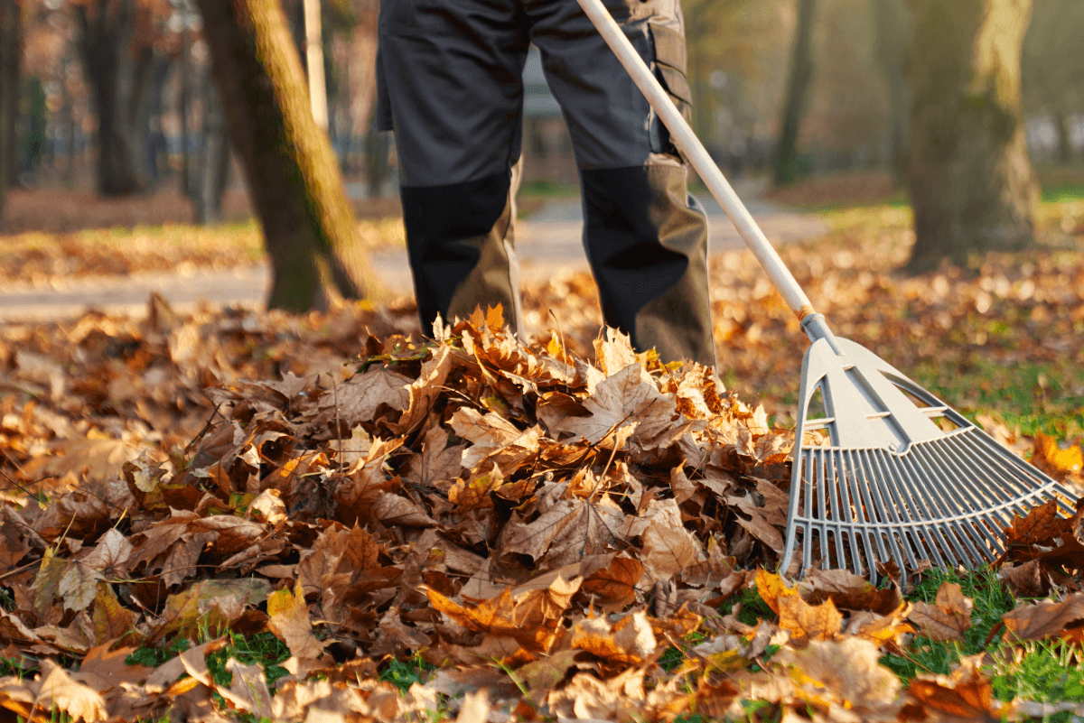 Landscaping services in Dalton